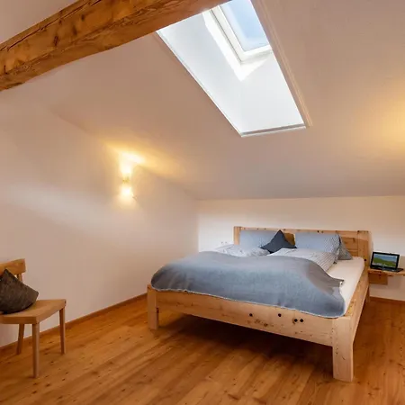 Appartement Gugg Hof - Familie Hoelzl Hopfgarten im Brixental